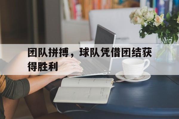 开云体育APP下载-团队拼搏，球队凭借团结获得胜利
