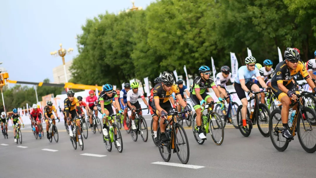 包含精英勇往直前，金牌加冕风采非凡的词条