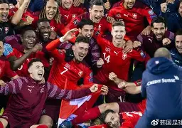 瑞典不敌瑞士，两连败小组出线梦