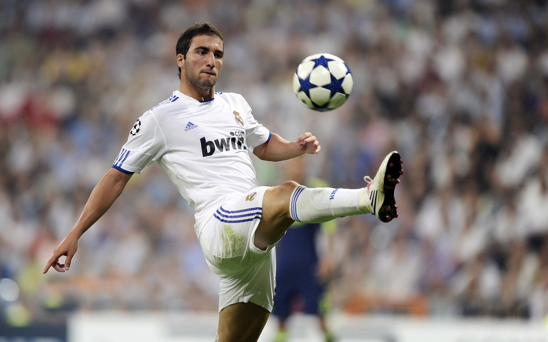 铁蹄踏碎雄鹰梦—格纳布里爆发助塞内加尔强行终结尼日利亚