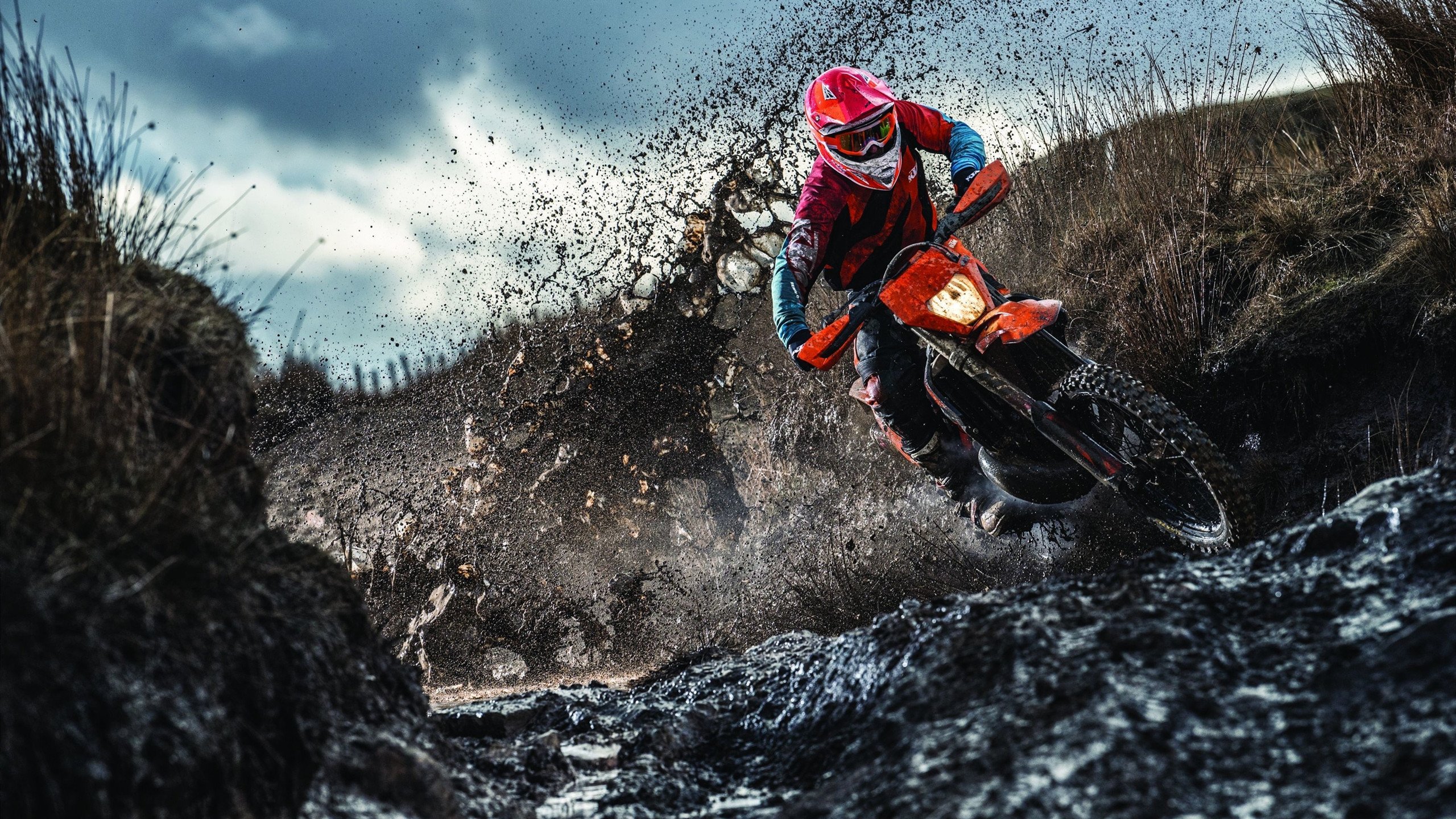 鏖战未休,王者已立,李梓嘉统治全场的羽球史诗